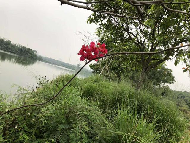 亚里士多德十句经典语录（亚里士多德经典名言语录）(2)