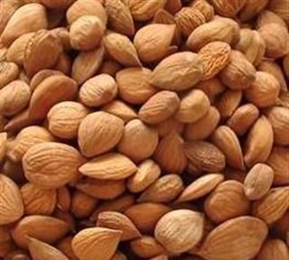 苦杏仁什么意思梗