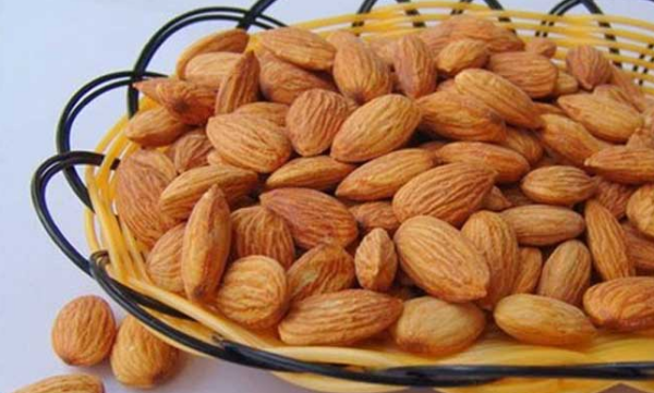 中国著名的杏仁产地,中国最大杏仁产地在哪里图3