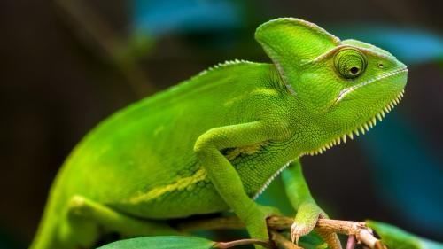 世界水日是几月几日,2021年世界水日是几月几日图4