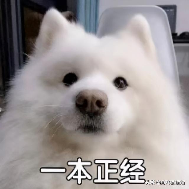 十款最好玩的手游有哪些(这几款经典手游一款都没玩过的)(11)