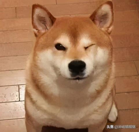 十款最好玩的手游有哪些(这几款经典手游一款都没玩过的)(4)