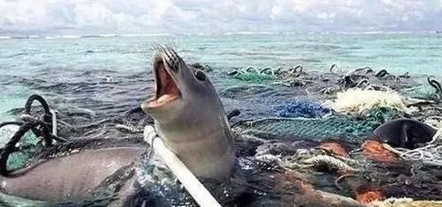 生态环境的破坏主要表现在哪里