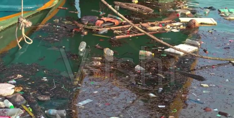 人为因素导致生态环境破坏的例子