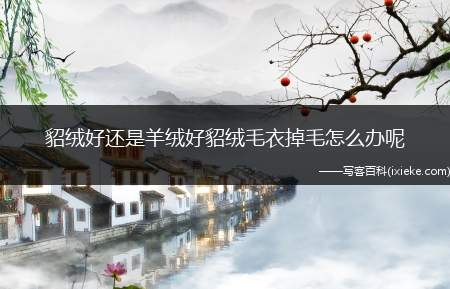 貂绒好还是羊绒好貂绒毛衣掉毛怎么办呢