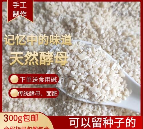 发酵粉一次放多少合适