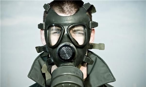 人们是从哪种动物身上得到启发发明了防毒面具