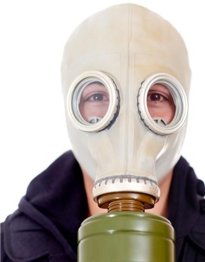 人们根据猪鼻子发明了防毒面具