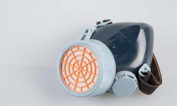 发明防毒面具的人,人们是从哪种动物身上得到启发发明了防毒面具图3