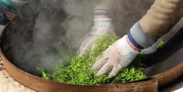 名茶碧螺春的产地,碧螺春产地在哪里图2