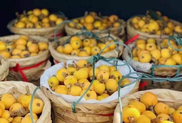 名茶碧螺春的产地,碧螺春产地在哪里图5