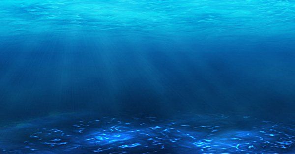 四大洋中面积最小的是哪一个,四大洋中面积最小的是哪个图5