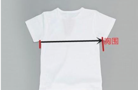 怎么量衣服胸围尺寸,怎么量衣服的尺码图图2