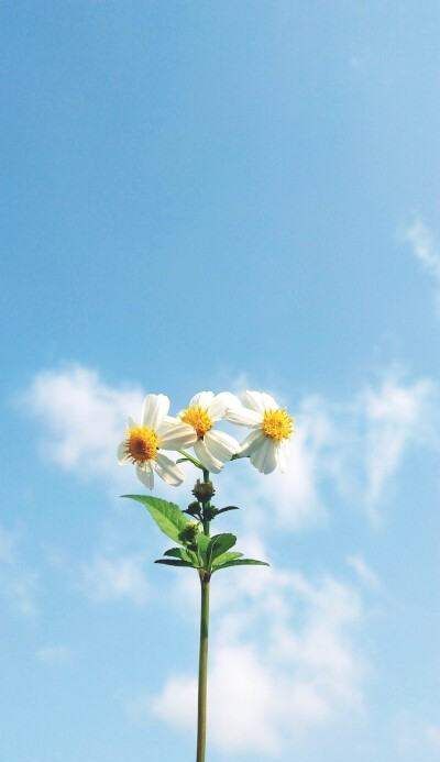 ppe是什么材料,ppe是什么意思图4