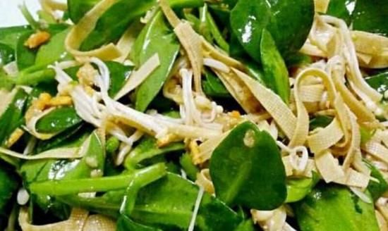 三七菜和田七菜的区别,三七与田七的区别图片图4