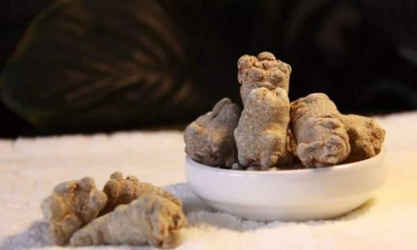 三七菜和田七菜的区别,三七与田七的区别图片图1