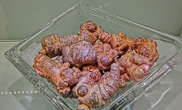 三七菜和田七菜的区别,三七与田七的区别图片图6