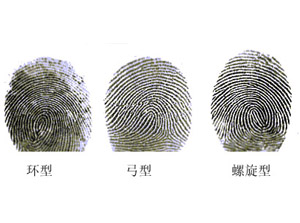 手指肚上的“斗”和“簸箕”有什么说法