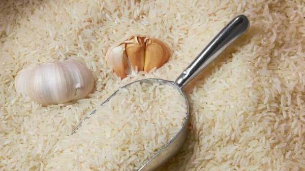 大米里白色的虫子是蛆,米饭有白色虫子怎么办图5