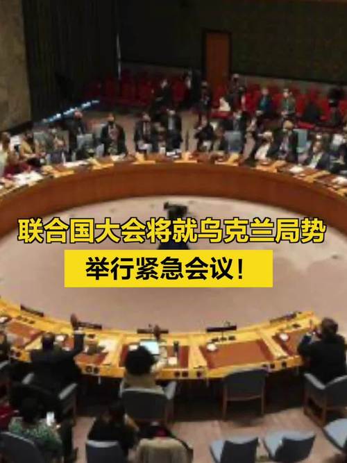 联大紧急特别会议通过乌克兰决议(联大紧急特别会议就乌克兰问题通过决议)