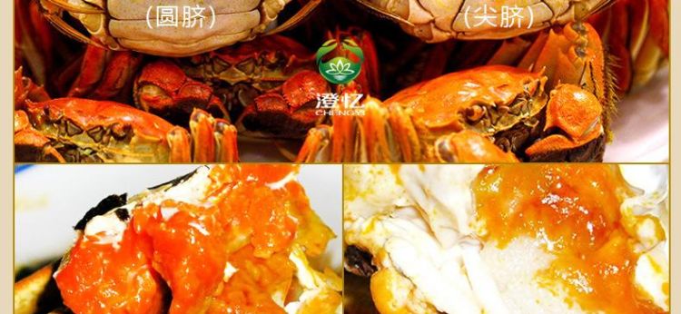 阳澄湖大闸蟹时间限定