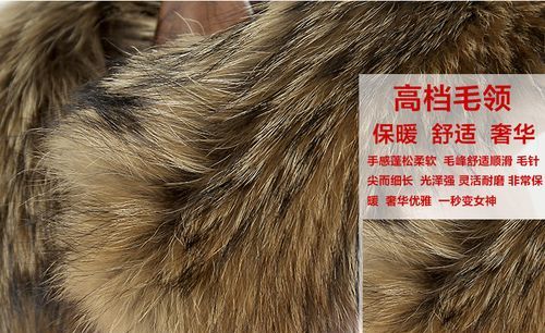 白色貉子毛领发黄了怎么办