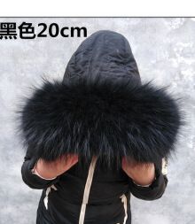 嗠子是什么动物