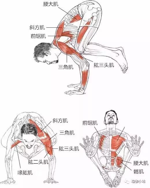 小腹被撑出形状（小腹又平又紧实）(7)