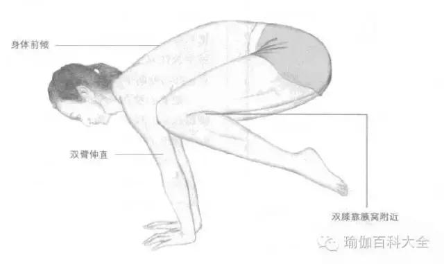 小腹被撑出形状（小腹又平又紧实）(9)