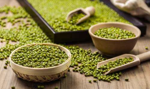 大暑节气吃什么食物,大暑是什么意思含义图4