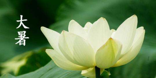 大暑节气吃什么食物,大暑是什么意思含义图1