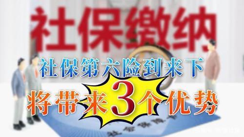 社保六险是哪些(社保第六险火了)
