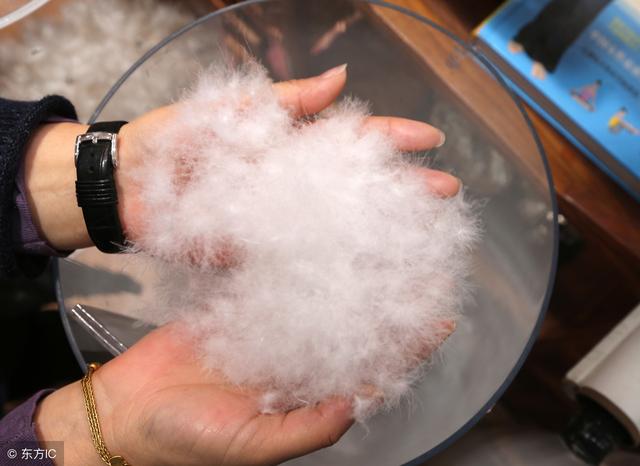 白鸭绒和白鸭绒哪个更好(白鸭绒和灰鸭绒的区别)(2)