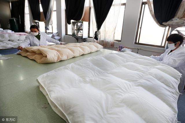 白鸭绒和白鸭绒哪个更好(白鸭绒和灰鸭绒的区别)(4)