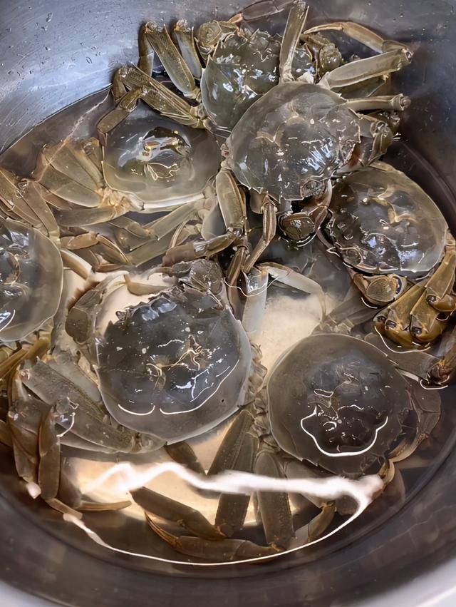 螃蟹需要蒸几分钟才能熟（螃蟹需要蒸多久）(2)