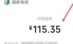 网上怎么交电费，在网上怎么交电费？图8