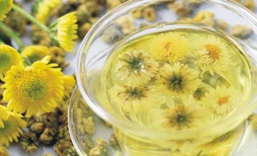喝菊花茶有什么好处,菊花是茶叶的一种吗图6