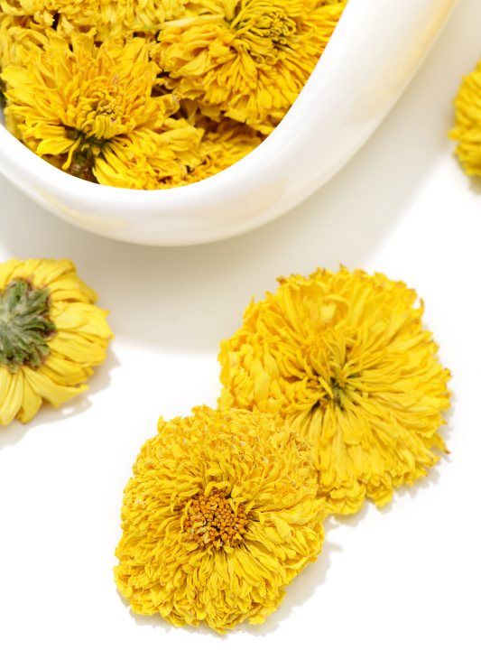 喝菊花茶有什么好处,菊花是茶叶的一种吗图1