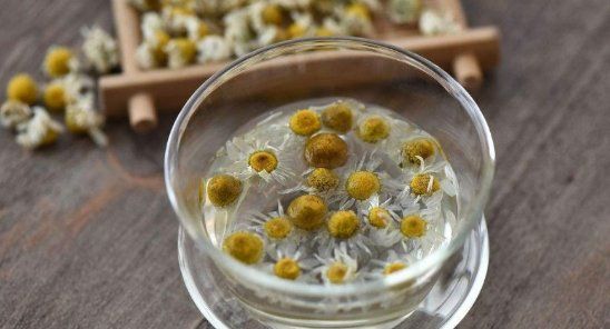 喝菊花茶有什么好处,菊花是茶叶的一种吗图7