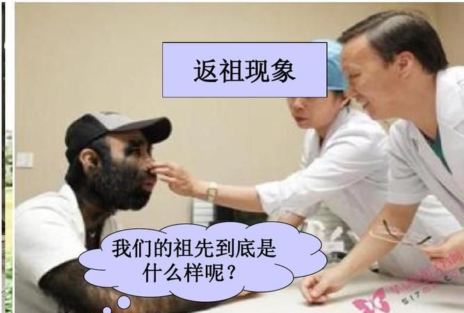 什么叫返祖现象?