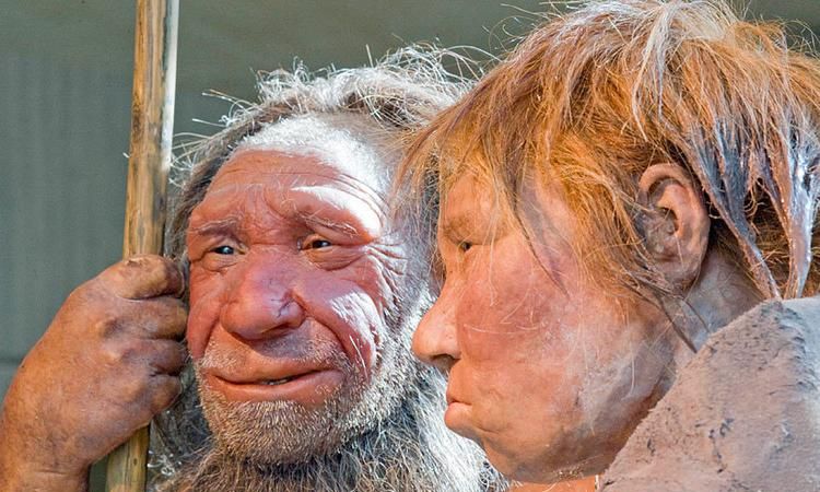 什么是反祖现象,返祖是什么意思网络用语