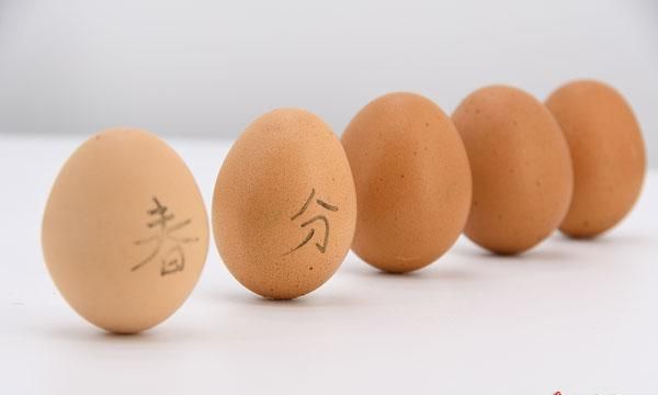 春分为什么立蛋竖