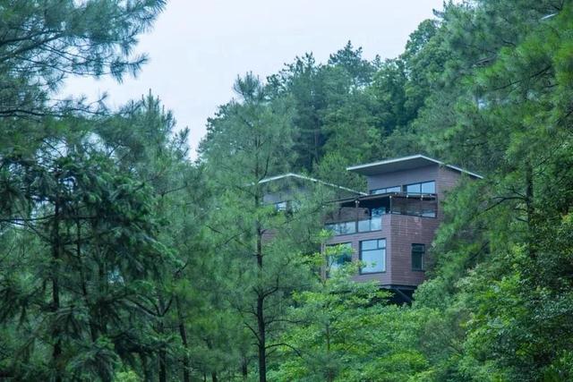 裸心堡住宿攻略（一房难求的裸心谷）(7)