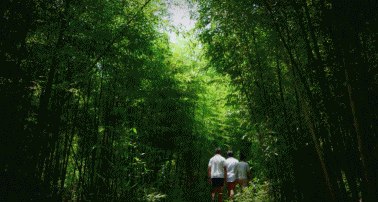 裸心堡住宿攻略（一房难求的裸心谷）(13)