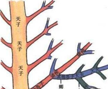 声入人心嫡长子是什么梗,国王选王位继承人的条件是什么图6