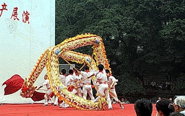 铜梁舞龙的由来,铜梁龙舞的艺术价值图4