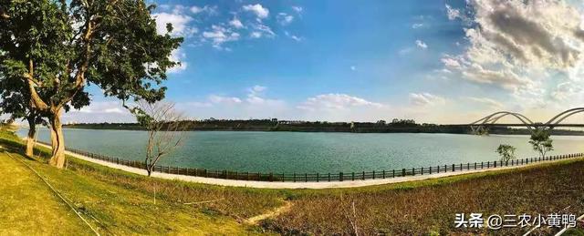 立夏是每年几月几号（立夏将至到底啥时候）(2)