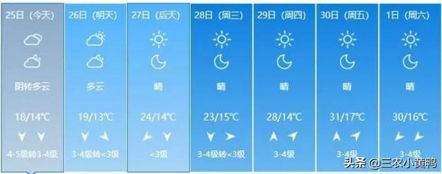 立夏是每年几月几号（立夏将至到底啥时候）(4)