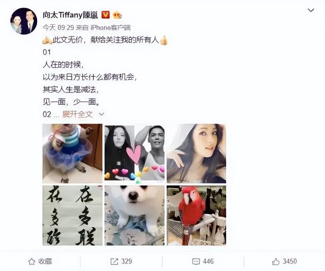 向太称郭碧婷答应生三个孩子（向太承认郭碧婷怀二胎）(12)