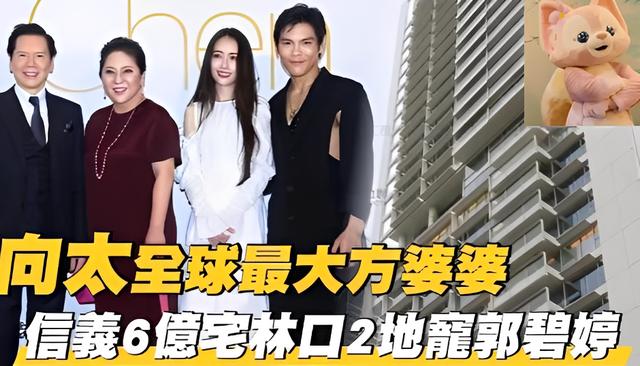 向太称郭碧婷答应生三个孩子（向太承认郭碧婷怀二胎）(16)